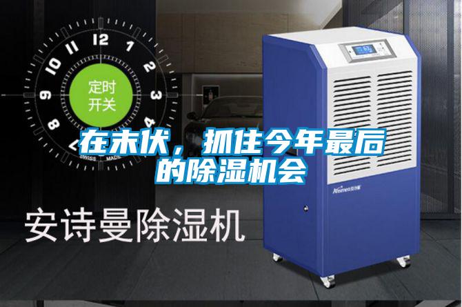 在末伏，抓住今年最后的除濕機會