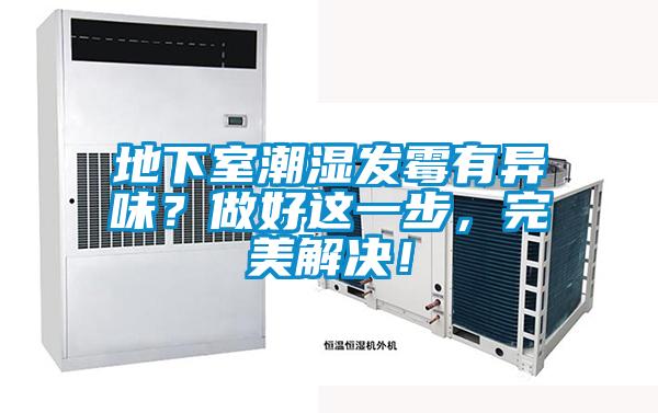 地下室潮濕發(fā)霉有異味？做好這一步，完美解決！