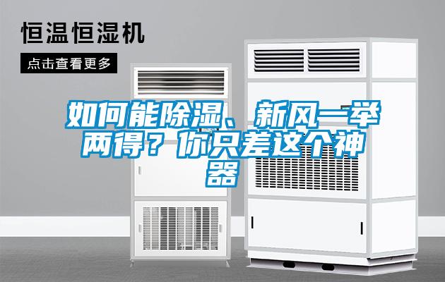 如何能除濕、新風(fēng)一舉兩得？你只差這個神器