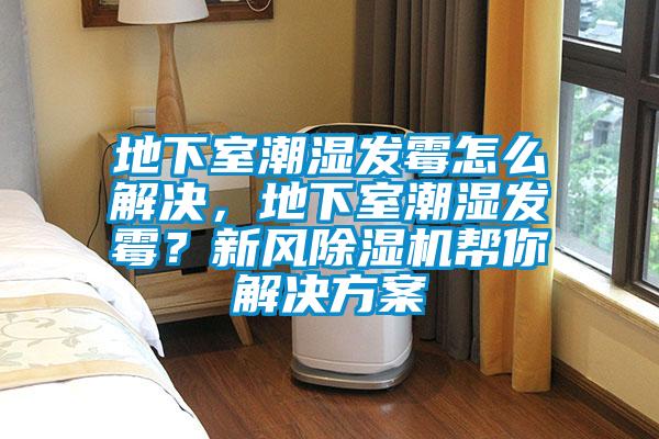 地下室潮濕發(fā)霉怎么解決，地下室潮濕發(fā)霉？新風(fēng)除濕機(jī)幫你解決方案