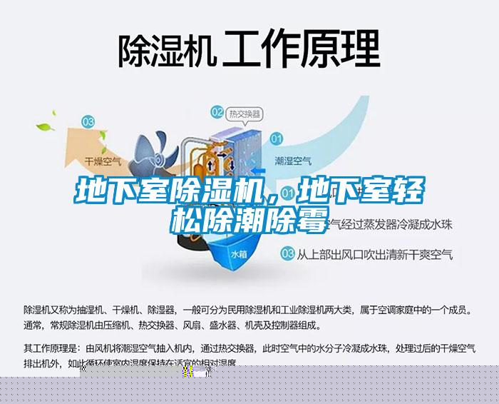 地下室除濕機(jī),地下室輕松除潮除霉