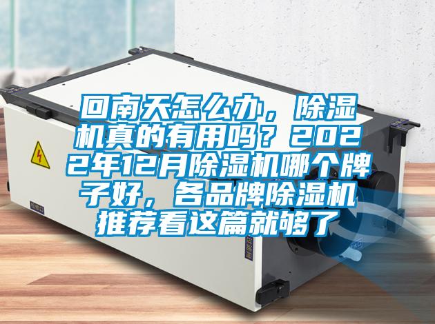 回南天怎么辦，除濕機真的有用嗎？2022年12月除濕機哪個牌子好，各品牌除濕機推薦看這篇就夠了
