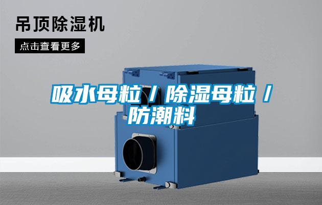 吸水母粒/除濕母粒/防潮料