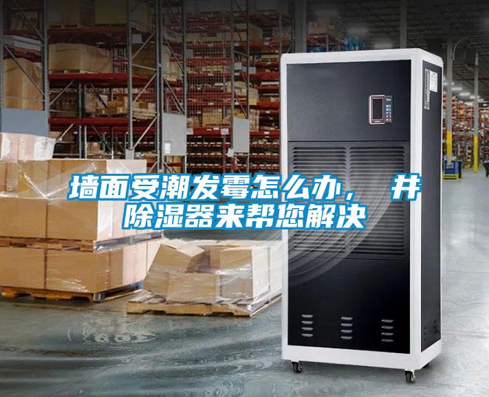 墻面受潮發霉怎么辦，東井除濕器來幫您解決