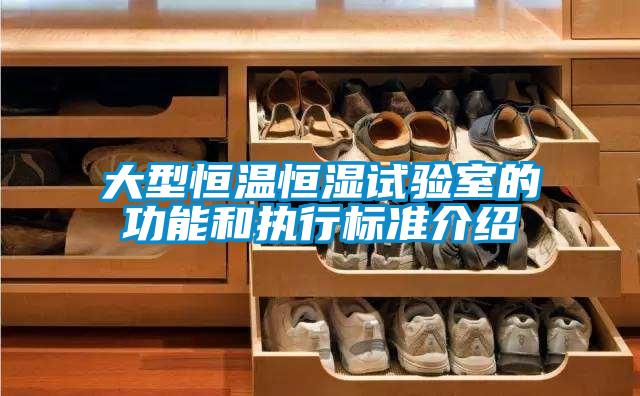 大型恒溫恒濕試驗室的功能和執行標準介紹