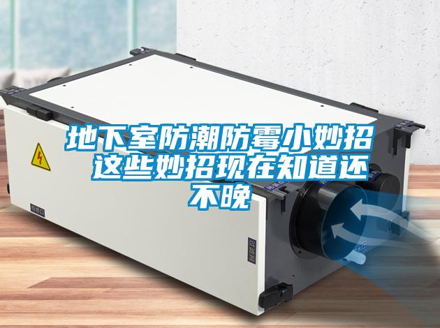 地下室防潮防霉小妙招 這些妙招現在知道還不晚