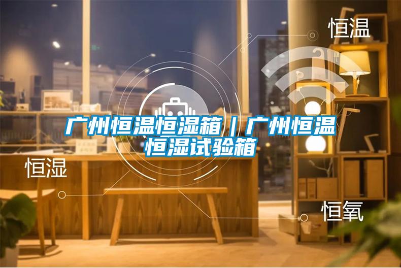 廣州恒溫恒濕箱|廣州恒溫恒濕試驗(yàn)箱