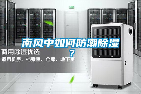 南風(fēng)中如何防潮除濕？
