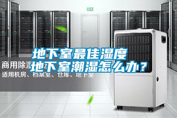 地下室最佳濕度  地下室潮濕怎么辦？