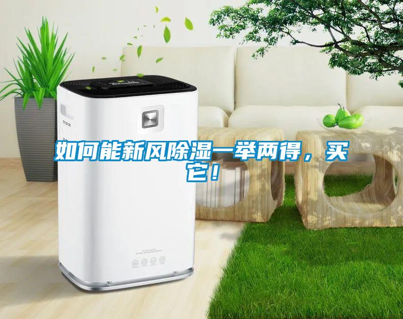 如何能新風(fēng)除濕一舉兩得，買它！