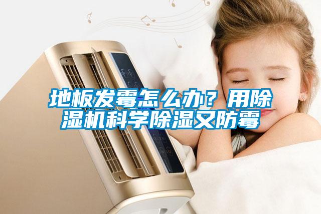 地板發(fā)霉怎么辦？用除濕機(jī)科學(xué)除濕又防霉