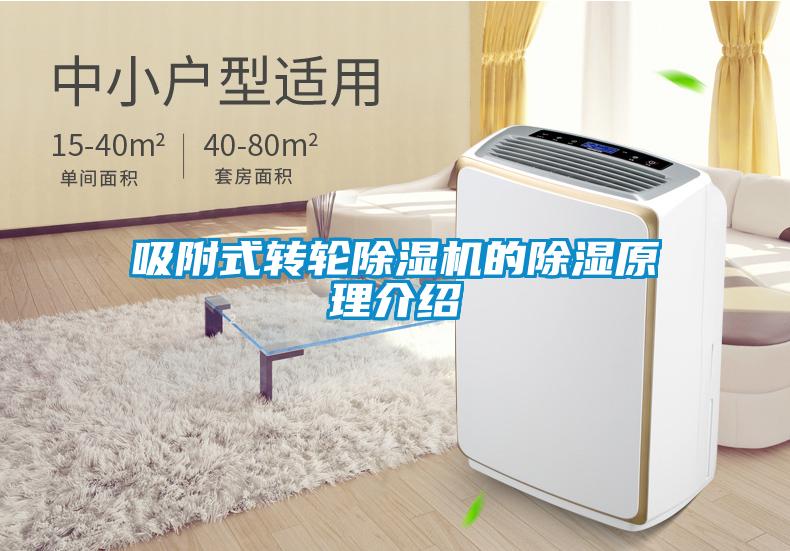 吸附式轉輪除濕機的除濕原理介紹