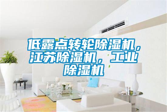 低露點(diǎn)轉(zhuǎn)輪除濕機(jī)，江蘇除濕機(jī)，工業(yè)除濕機(jī)
