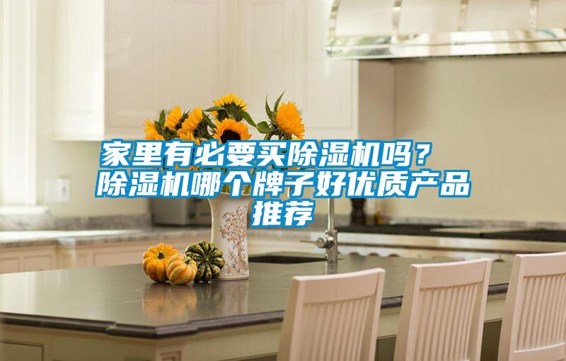 家里有必要買(mǎi)除濕機(jī)嗎？ 除濕機(jī)哪個(gè)牌子好優(yōu)質(zhì)產(chǎn)品推薦