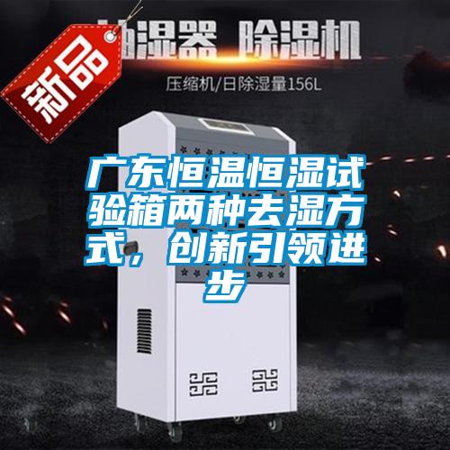 廣東恒溫恒濕試驗(yàn)箱兩種去濕方式，創(chuàng)新引領(lǐng)進(jìn)步