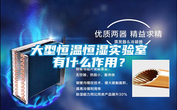 大型恒溫恒濕實驗室有什么作用?