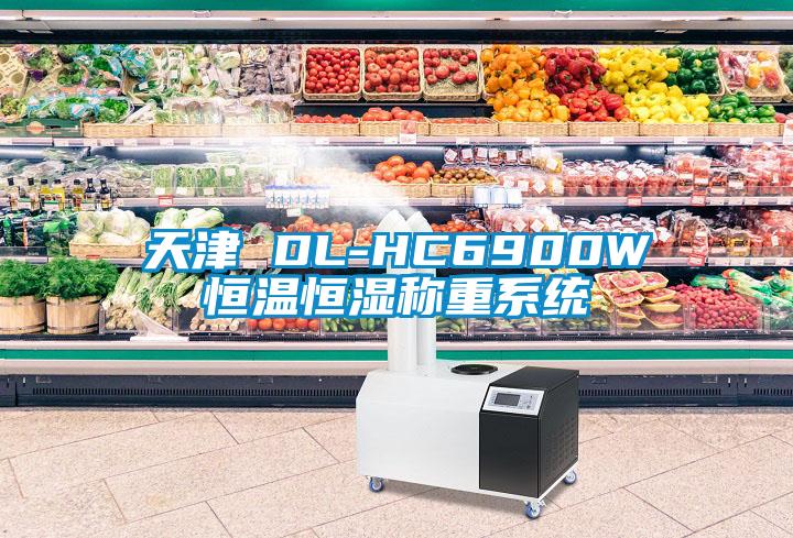 天津 DL-HC6900W恒溫恒濕稱重系統