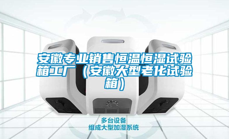 安徽專業銷售恒溫恒濕試驗箱工廠（安徽大型老化試驗箱）