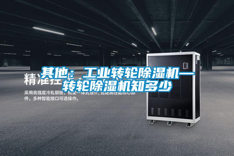 其他:工業(yè)轉(zhuǎn)輪除濕機—轉(zhuǎn)輪除濕機知多少
