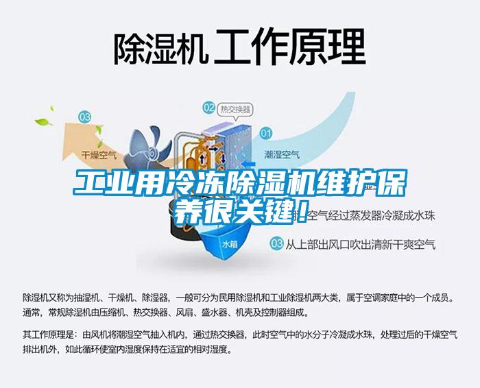 工業用冷凍除濕機維護保養很關鍵！