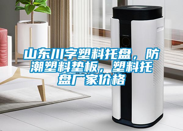 山東川字塑料托盤，防潮塑料墊板，塑料托盤廠家價(jià)格