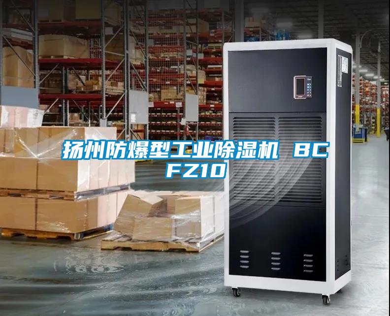揚州防爆型工業除濕機 BCFZ10