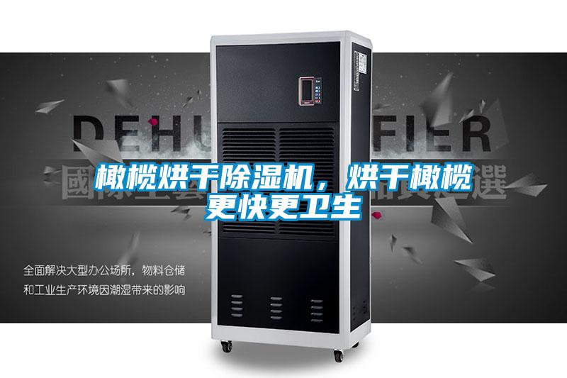橄欖烘干除濕機，烘干橄欖更快更衛生
