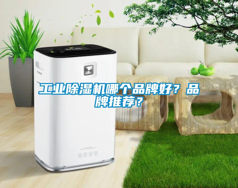 工業(yè)除濕機(jī)哪個(gè)品牌好？品牌推薦？