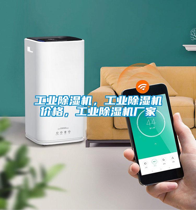 工業(yè)除濕機，工業(yè)除濕機價格，工業(yè)除濕機廠家