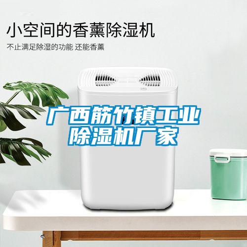 廣西筋竹鎮工業除濕機廠家