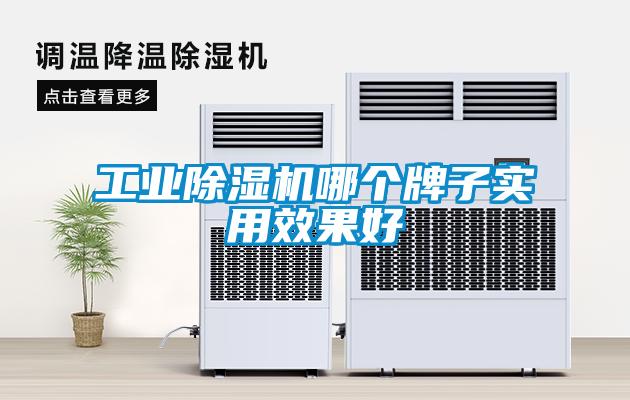 工業除濕機哪個牌子實用效果好