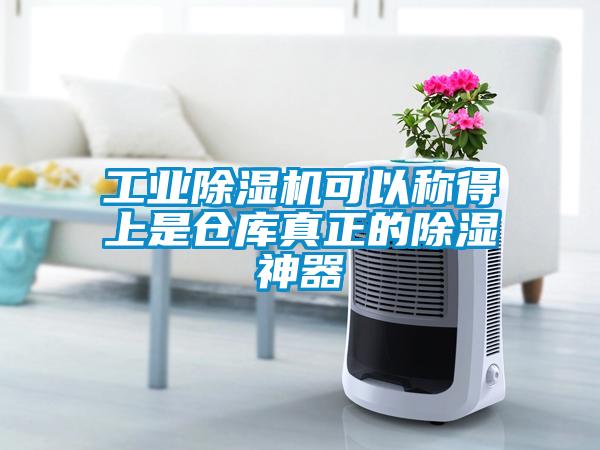工業(yè)除濕機(jī)可以稱(chēng)得上是倉(cāng)庫(kù)真正的除濕神器