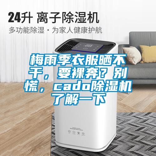 梅雨季衣服曬不干，要裸奔？別慌，cado除濕機了解一下