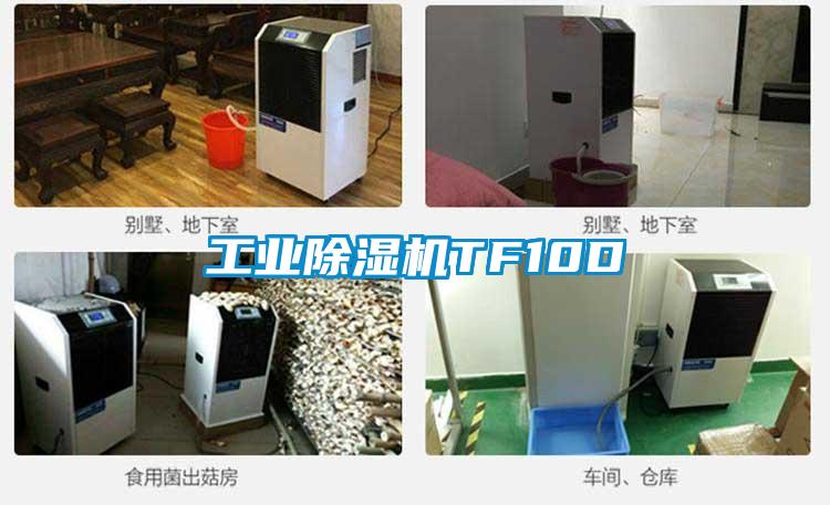 工業除濕機TF10D