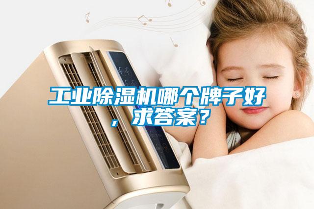 工業(yè)除濕機(jī)哪個(gè)牌子好，求答案？