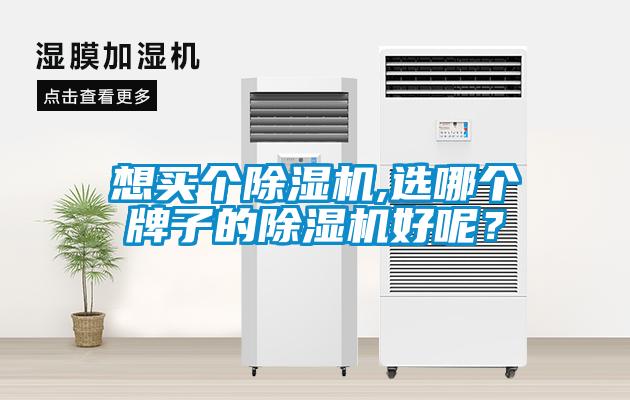 想買(mǎi)個(gè)除濕機(jī),選哪個(gè)牌子的除濕機(jī)好呢？