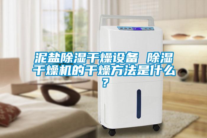 泥鹽除濕干燥設(shè)備 除濕干燥機(jī)的干燥方法是什么？