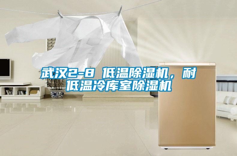 武漢2-8℃低溫除濕機(jī)，耐低溫冷庫室除濕機(jī)