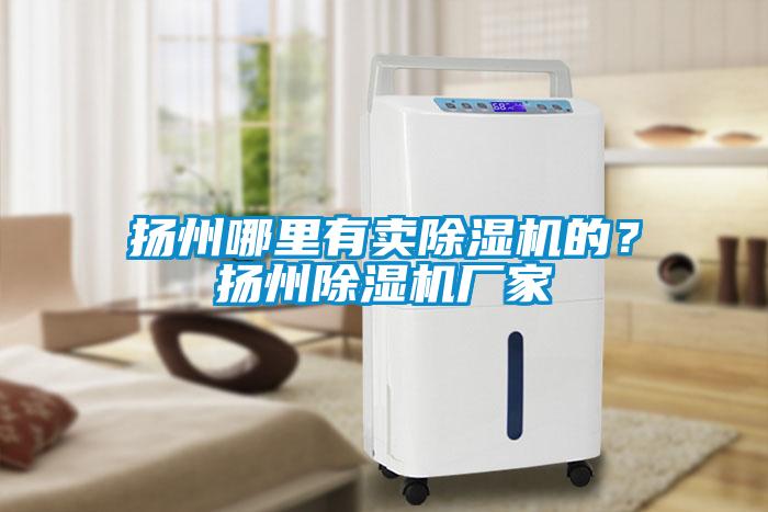 揚州哪里有賣除濕機的？揚州除濕機廠家