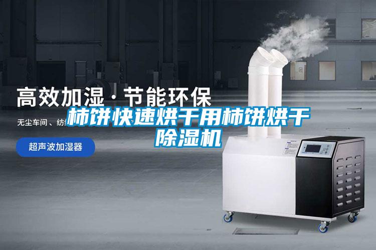 柿餅快速烘干用柿餅烘干除濕機
