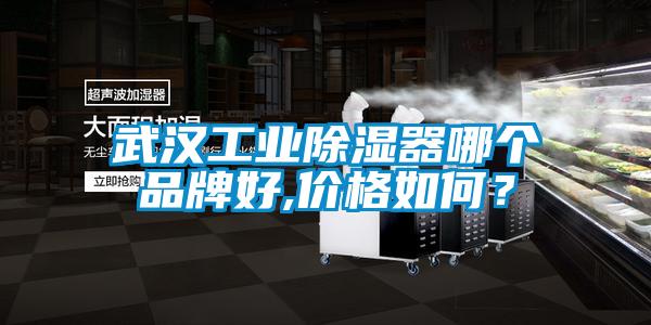 武漢工業除濕器哪個品牌好,價格如何？