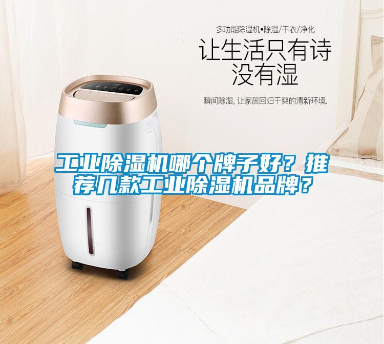 工業(yè)除濕機(jī)哪個牌子好？推薦幾款工業(yè)除濕機(jī)品牌？