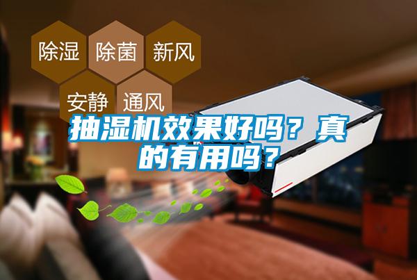 抽濕機效果好嗎？真的有用嗎？