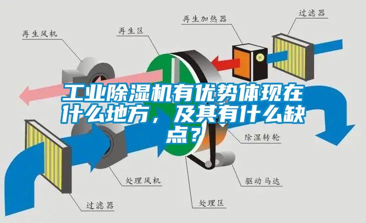 工業(yè)除濕機有優(yōu)勢體現在什么地方，及其有什么缺點？