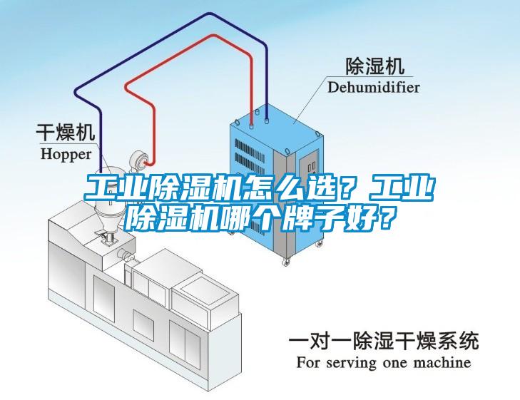 工業除濕機怎么選？工業除濕機哪個牌子好？