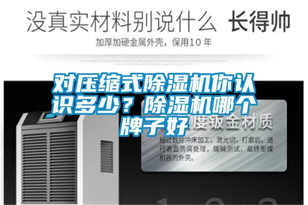 對壓縮式除濕機你認識多少？除濕機哪個牌子好