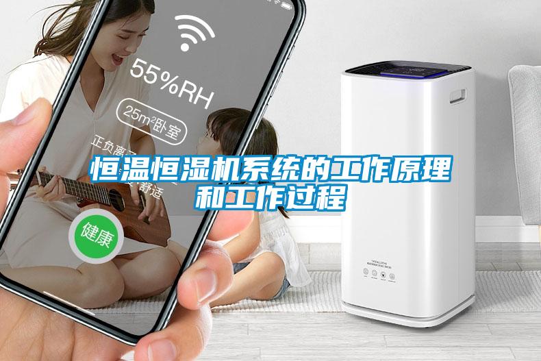 恒溫恒濕機系統的工作原理和工作過程