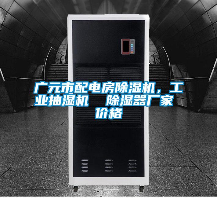 廣元市配電房除濕機，工業抽濕機  除濕器廠家 價格