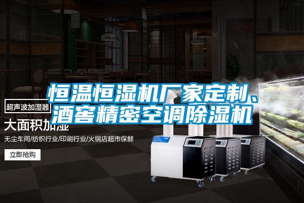 恒溫恒濕機廠家定制、酒窖精密空調除濕機