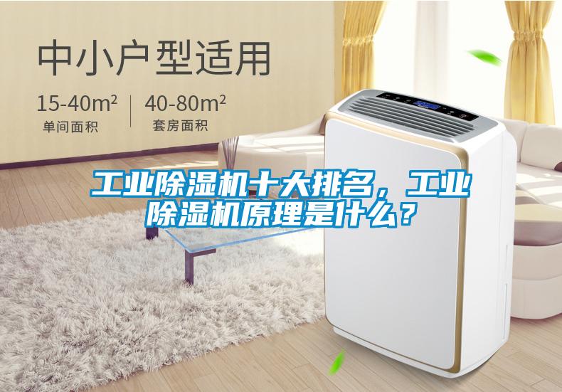 工業除濕機十大排名，工業除濕機原理是什么？
